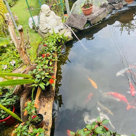 Chambres D'Hotes L'Orchidee Rose Salazie Zewnętrze zdjęcie