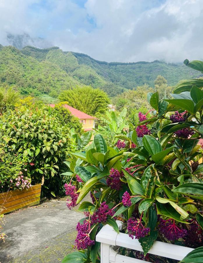 Chambres D'Hotes L'Orchidee Rose Salazie Zewnętrze zdjęcie