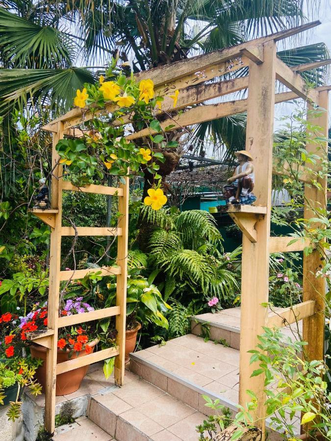 Chambres D'Hotes L'Orchidee Rose Salazie Zewnętrze zdjęcie