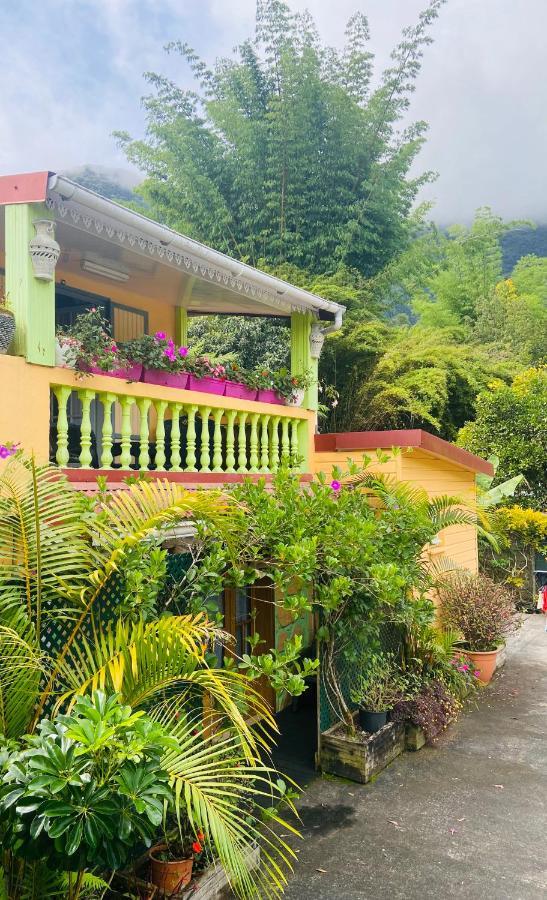 Chambres D'Hotes L'Orchidee Rose Salazie Zewnętrze zdjęcie