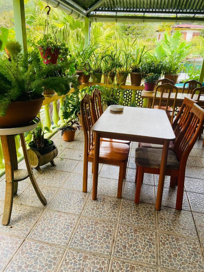 Chambres D'Hotes L'Orchidee Rose Salazie Zewnętrze zdjęcie