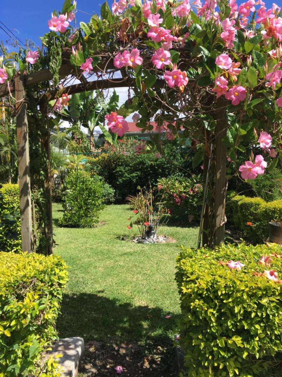 Chambres D'Hotes L'Orchidee Rose Salazie Zewnętrze zdjęcie